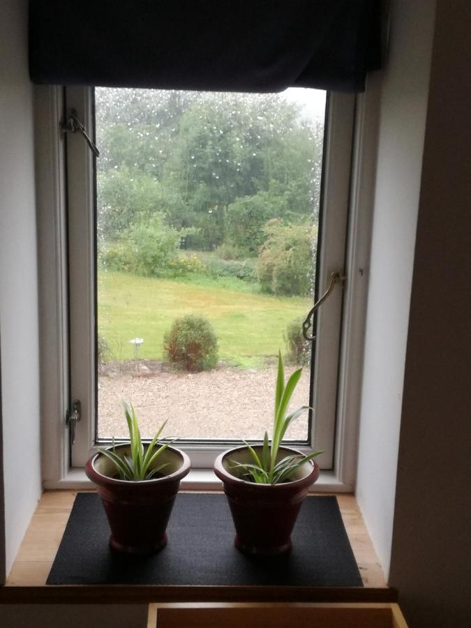 Safine B&B Fåborg Eksteriør bilde