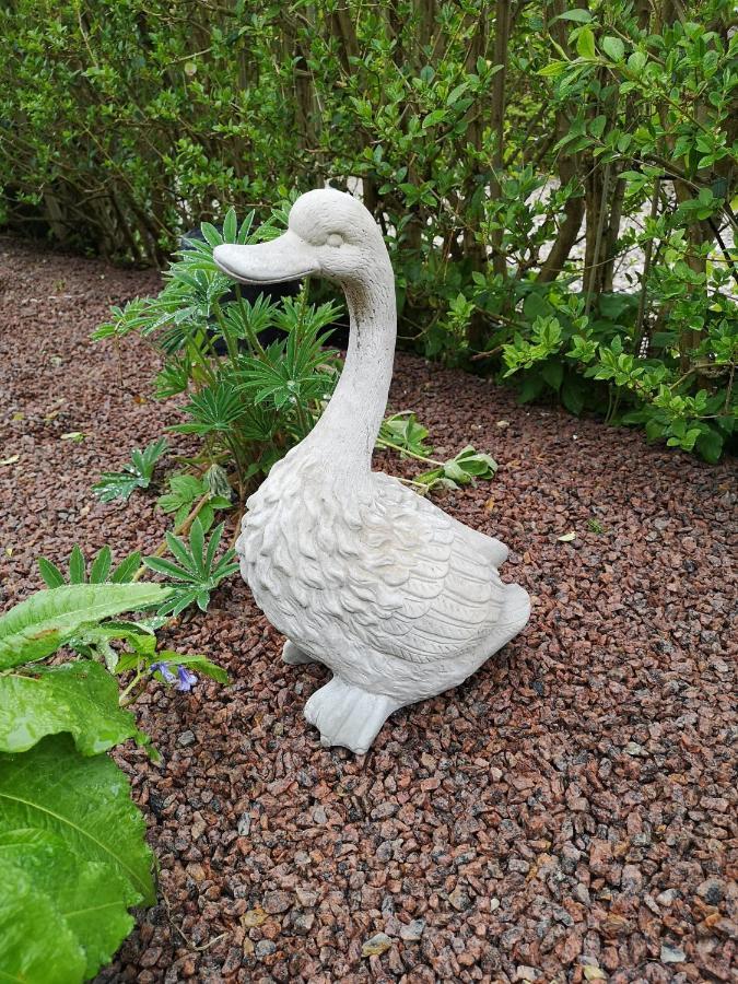 Safine B&B Fåborg Eksteriør bilde